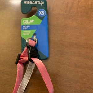 vibrant life leash